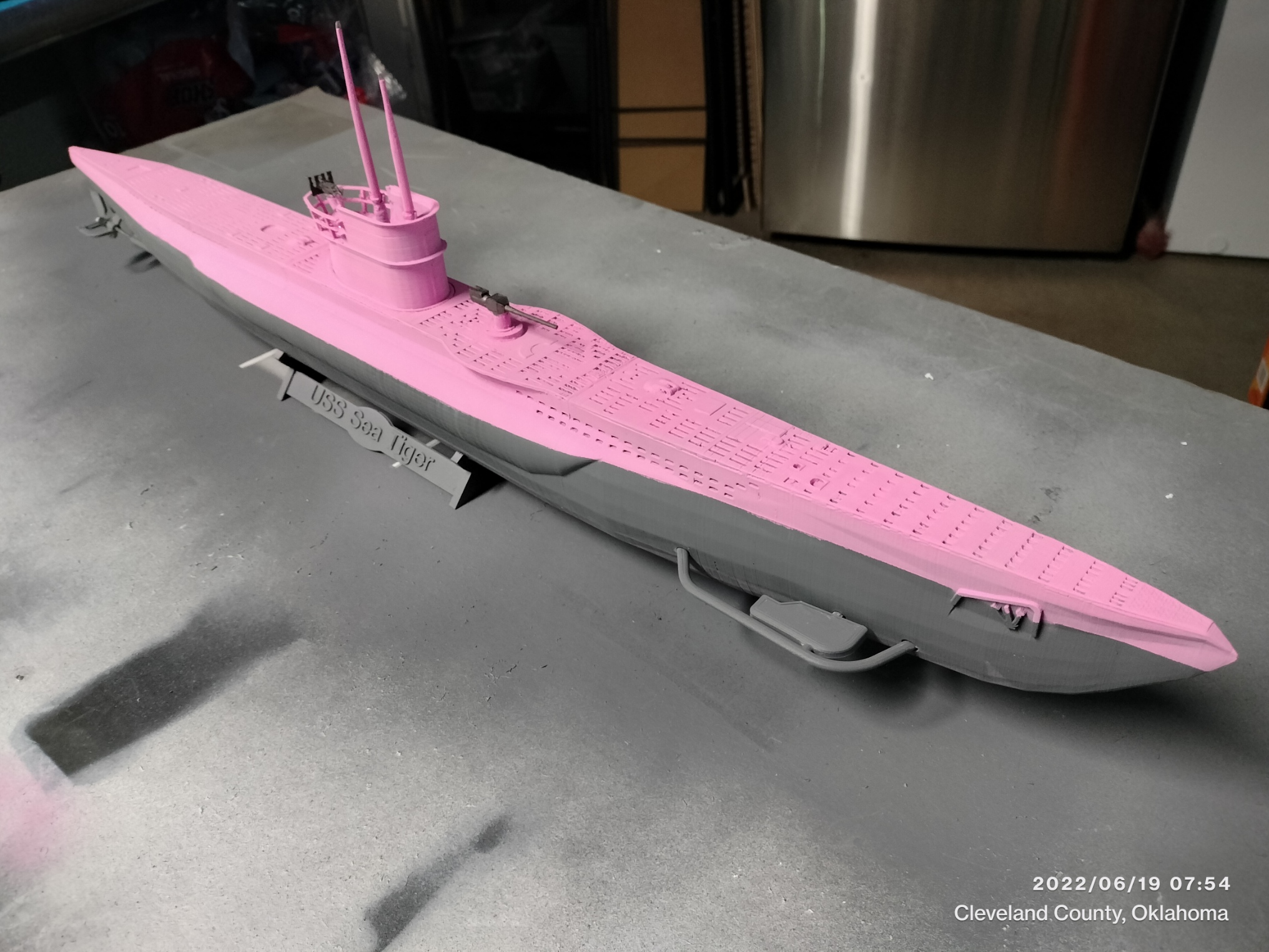 sea tiger 1
