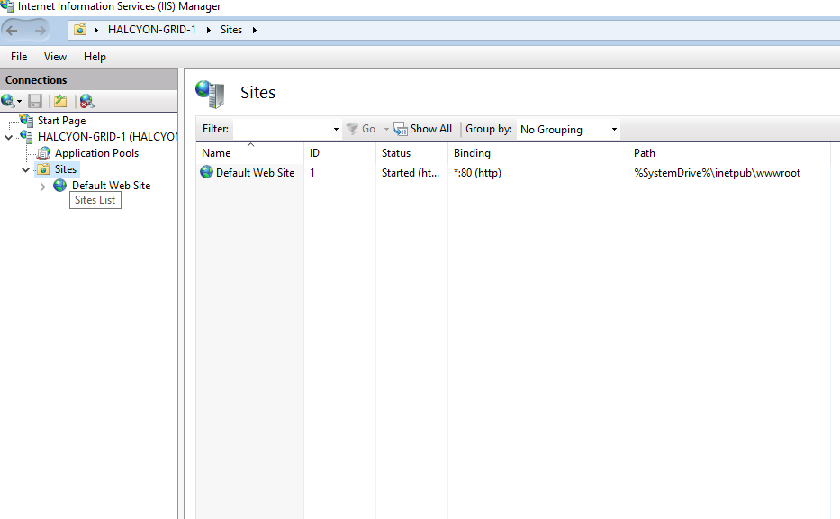 IIS Config 26