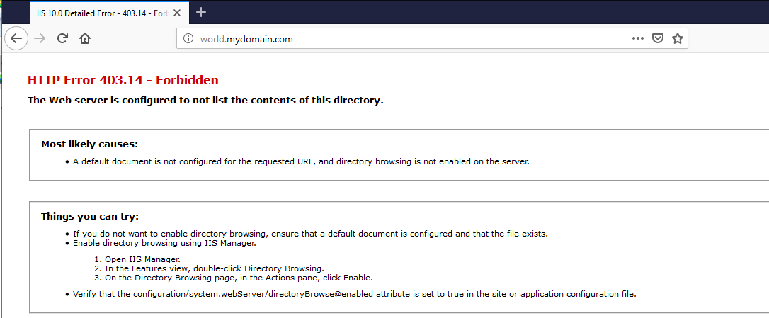 IIS Config 29