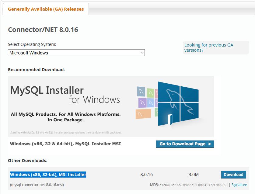 IIS Config 30