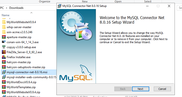 IIS Config 31